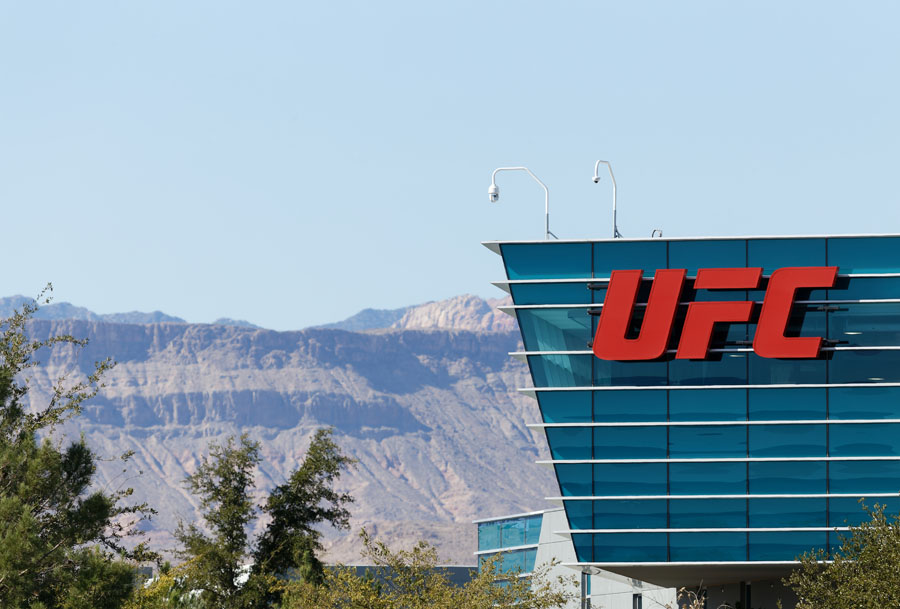 Bud Light Scores Official UFC Sponsorship Amidst Brand Revamp