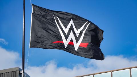Indiana Could Permit Betting on Scripted WWE Match Results